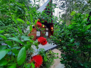  The Otunna Guest House Sigiriya  Сигирия